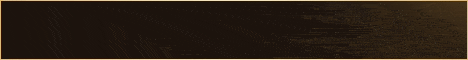 WYD International - Play to WIN! banner